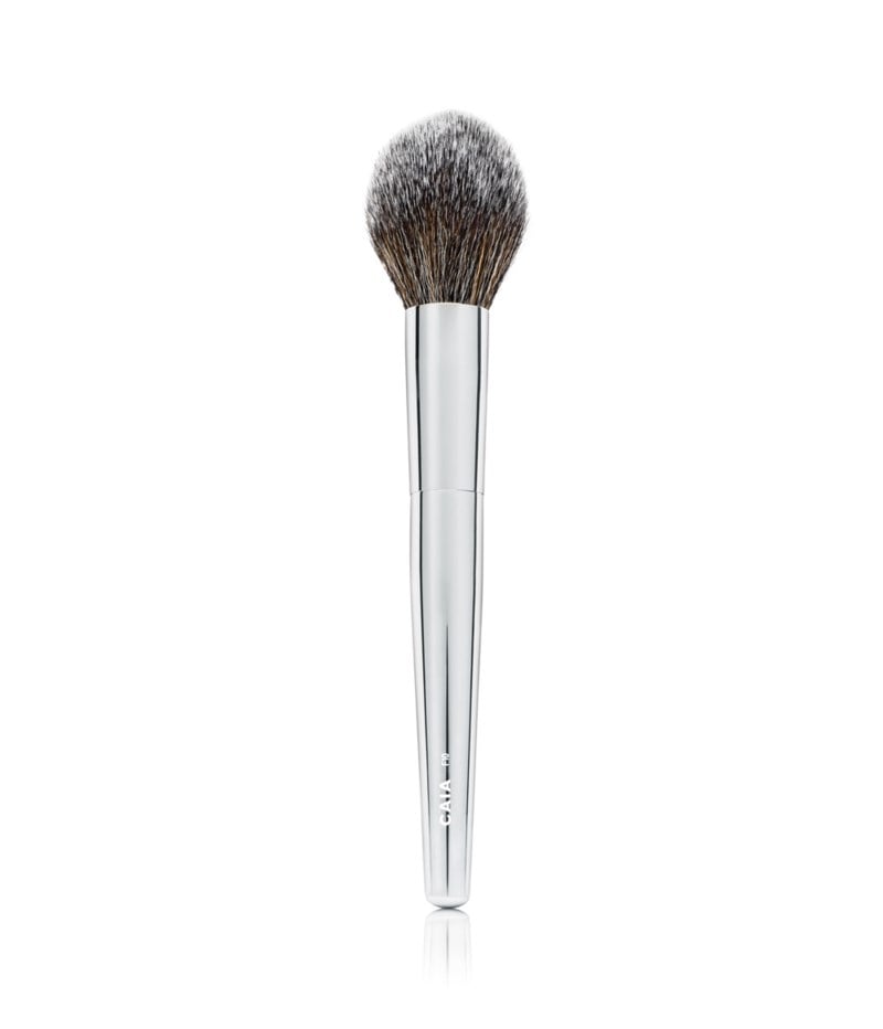 Pointed powder brush f10