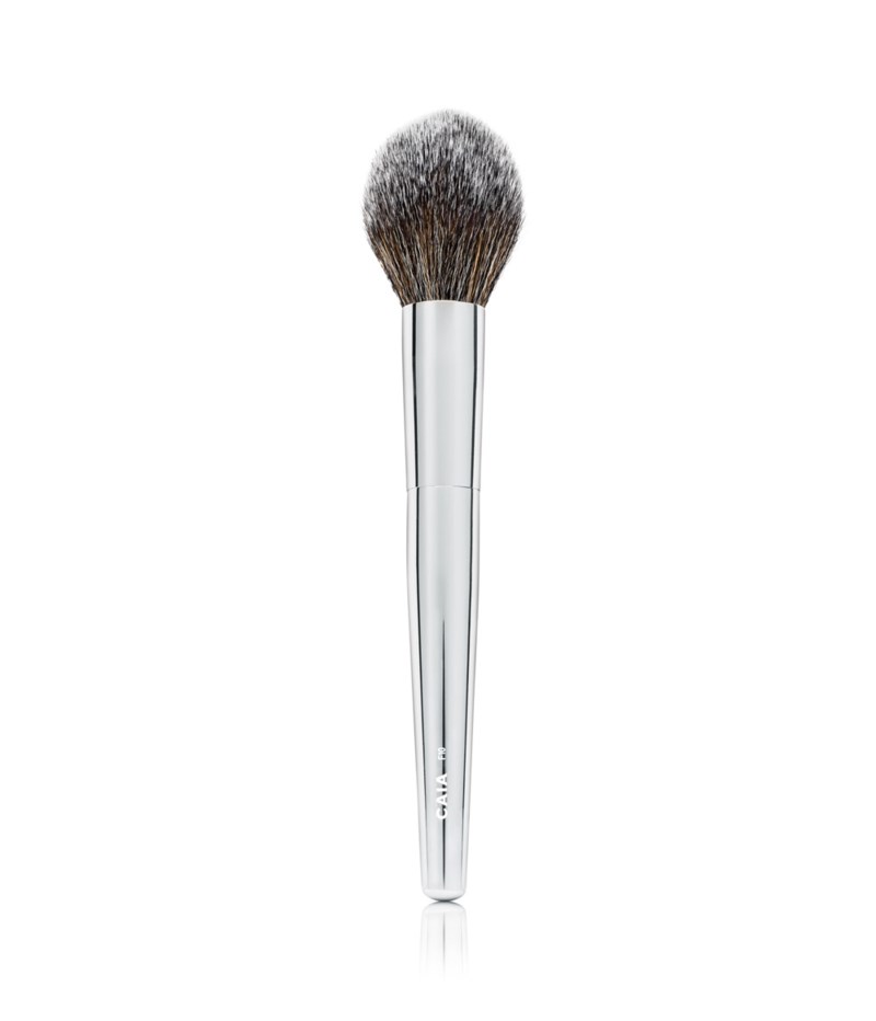 Pointed powder brush f10