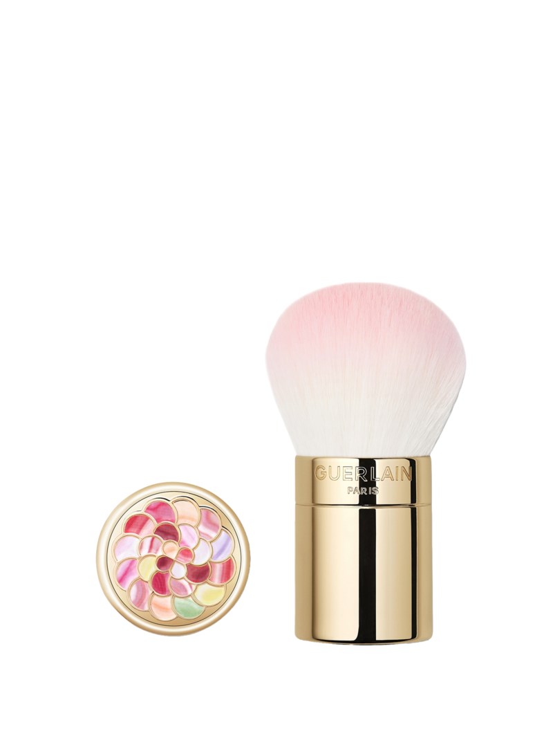 Meteorites pinceau powder brush