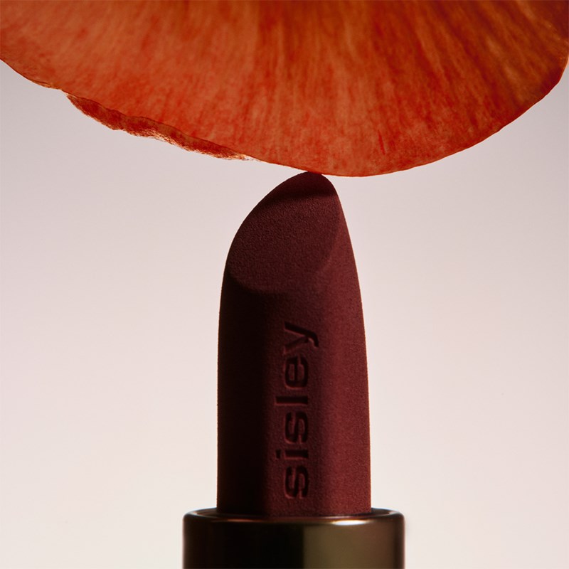 Phyto-Rouge Velvet 31 Orange Fawn 9