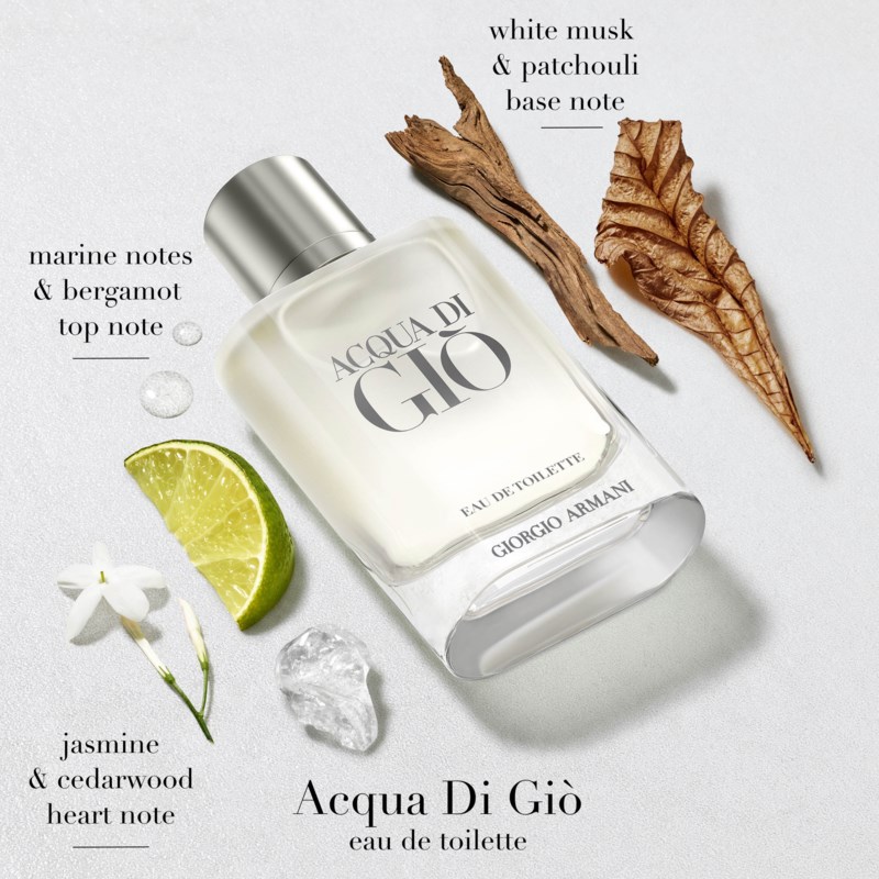 Armani Giorgio Acqua Di Giò Eau De Toilette Holiday 50 Ml 2026 Gift Set herr – bild 9