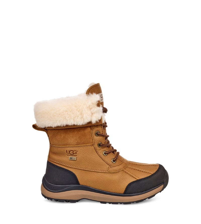 Adirondack boot 1