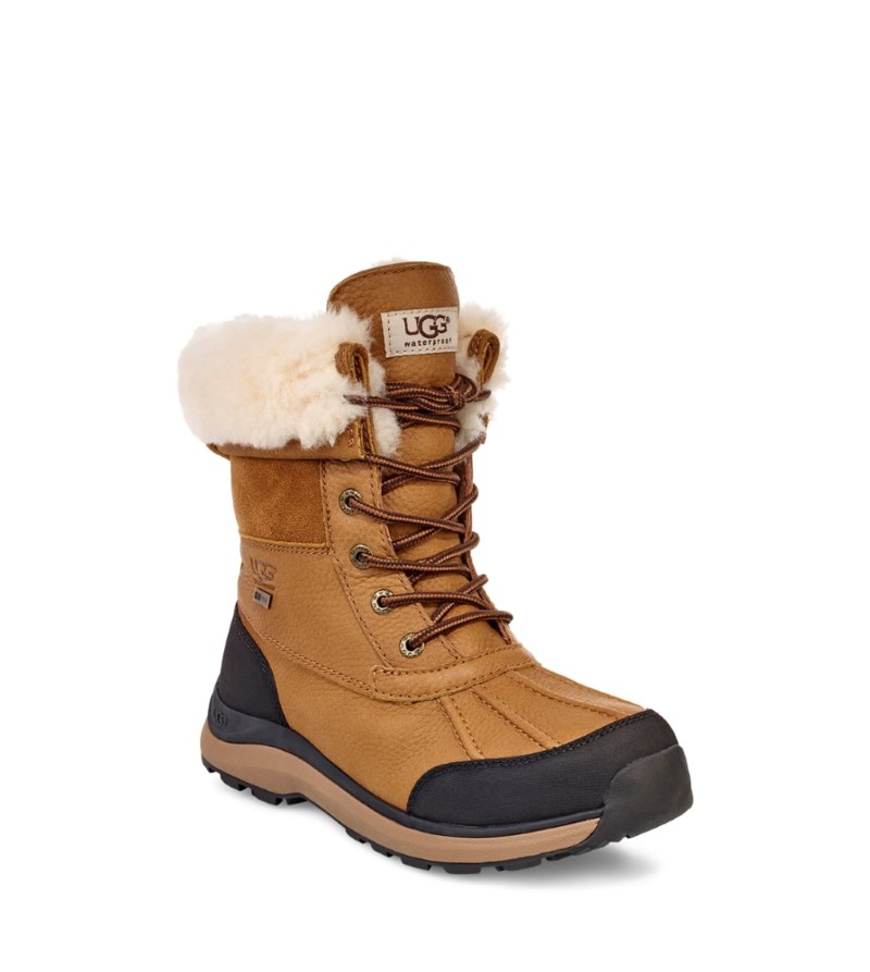 Adirondack boot 7