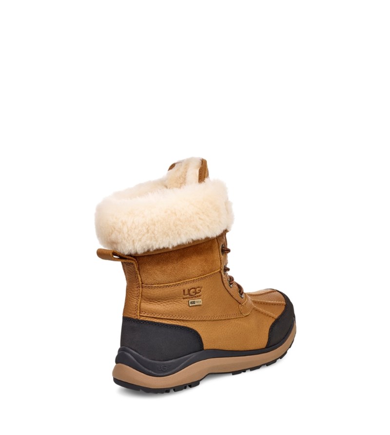 Adirondack boot 8