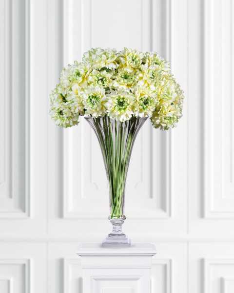 placeholder-image