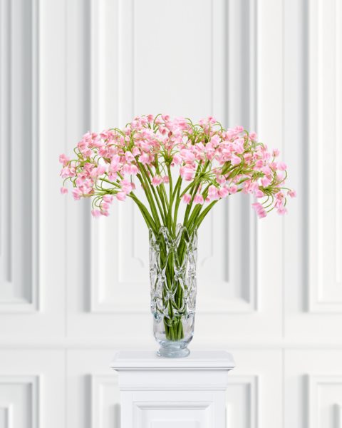 placeholder-image