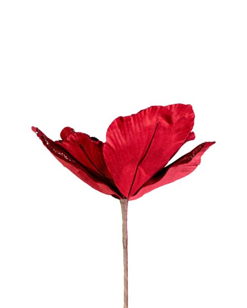 placeholder-image