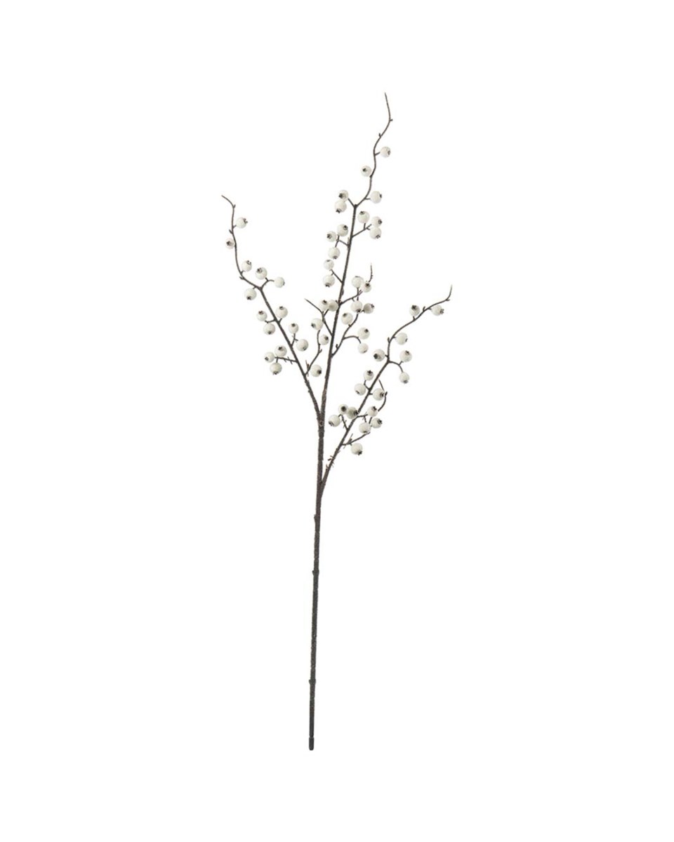 Bärkvist med is snittblomma vit/brun 75 cm, vit/brun från Newport