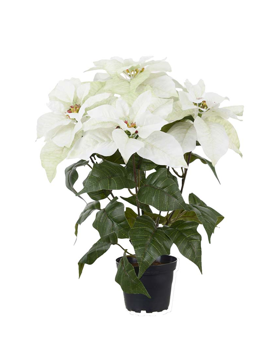 Julstjärna konstväxt vit 45 cm, vit från Newport