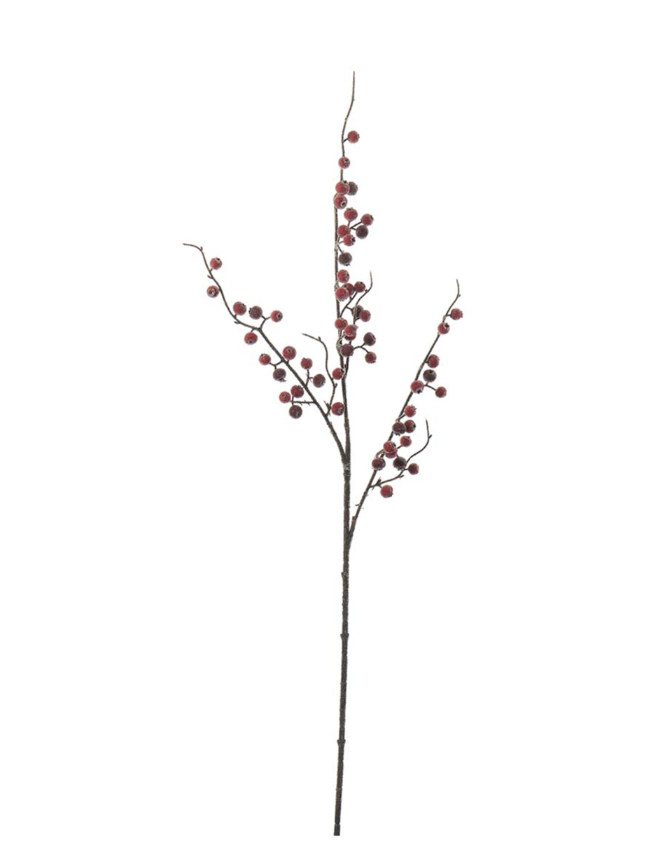 Bärkvist med is snittblomma röd/brun 75 cm, röd/brun från Newport
