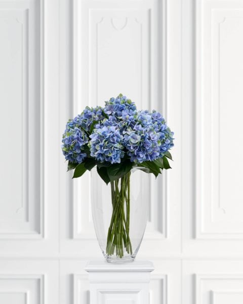 placeholder-image