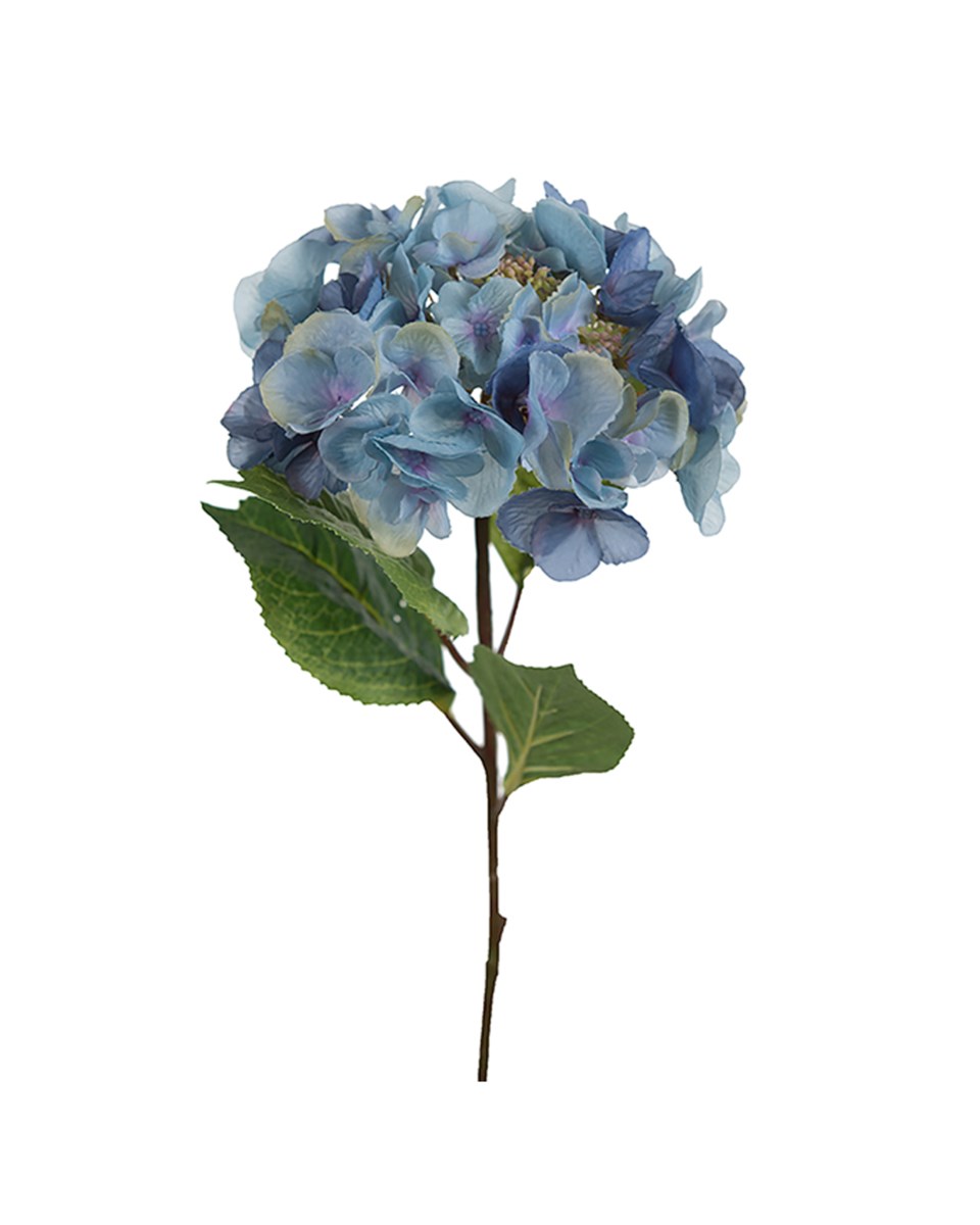 Hortensia snittblomma blå/grön 45 cm, blå/grön från Newport