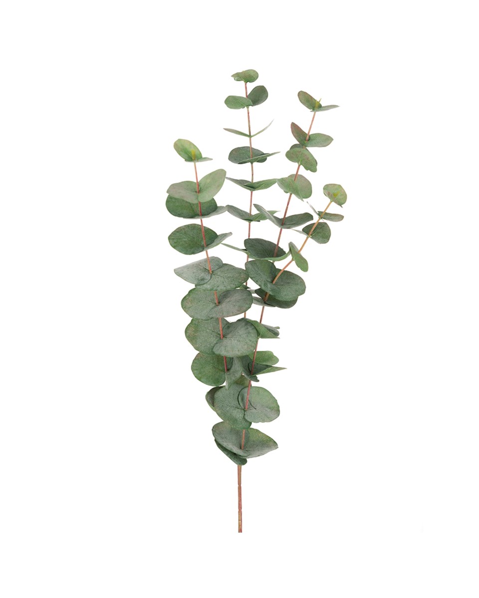 Eucalyptus snittblomma grön 60 cm, grön från Newport