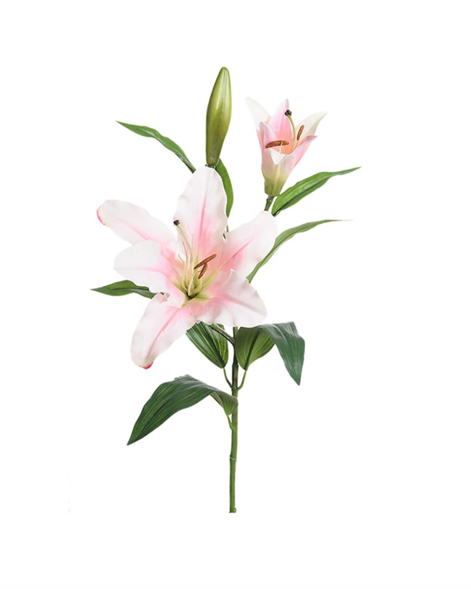 Lilja snittblomma vit/rosa 70 cm, vit/rosa från Newport