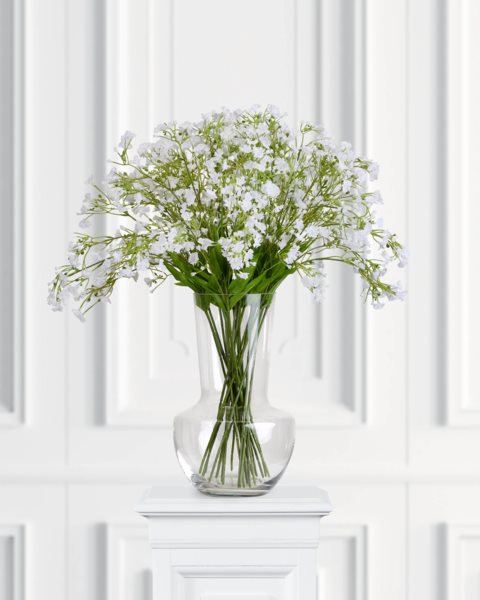 placeholder-image