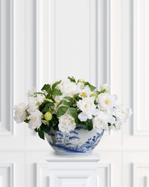 placeholder-image