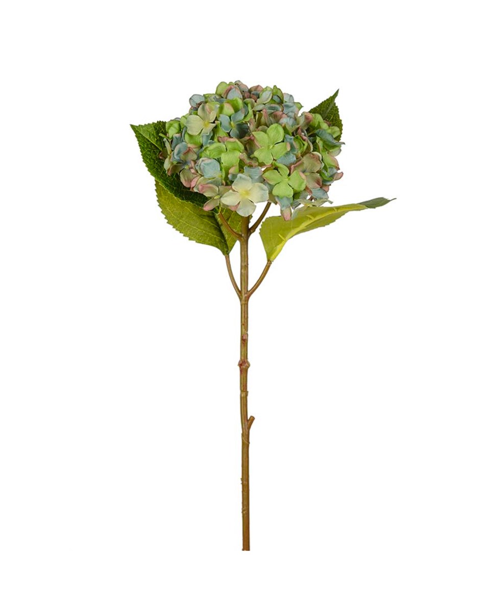 Hortensia snittblomma grön 40 cm, grön från Newport