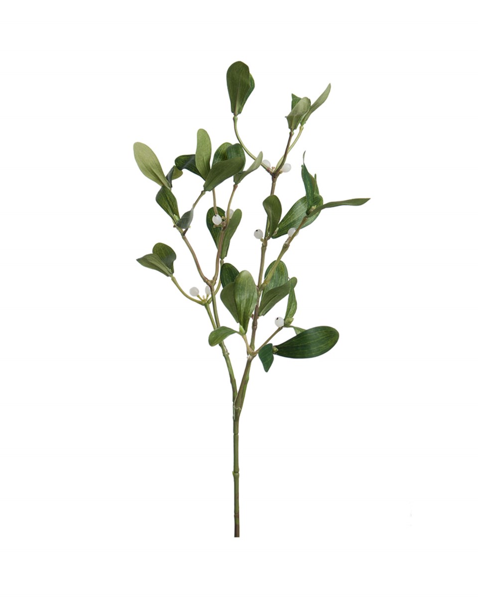 Julros snittblomma grön/vit 60 cm, grön/vit från Newport