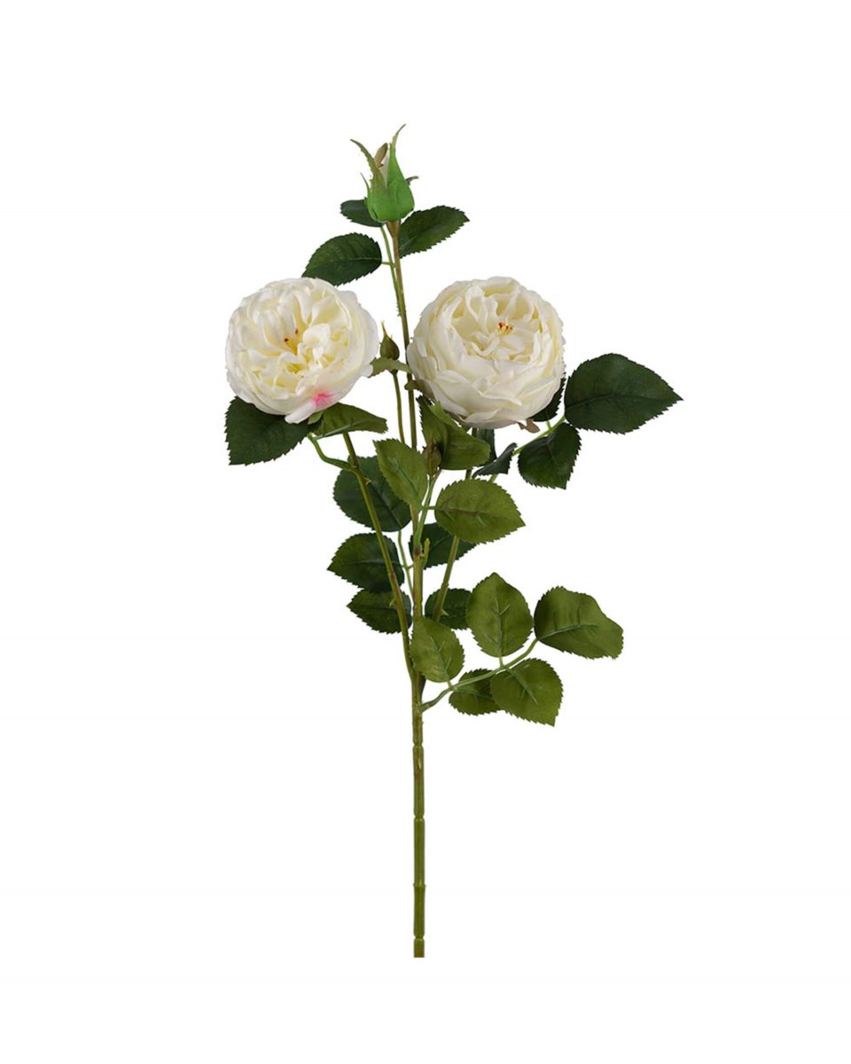 Ros snittblomma vit 60 cm, vit från Newport