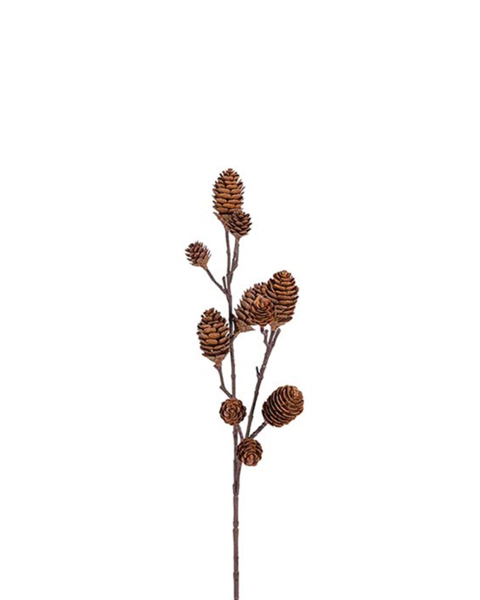 Ivy dekorationskvist kottar brun 70 cm, brun från Newport