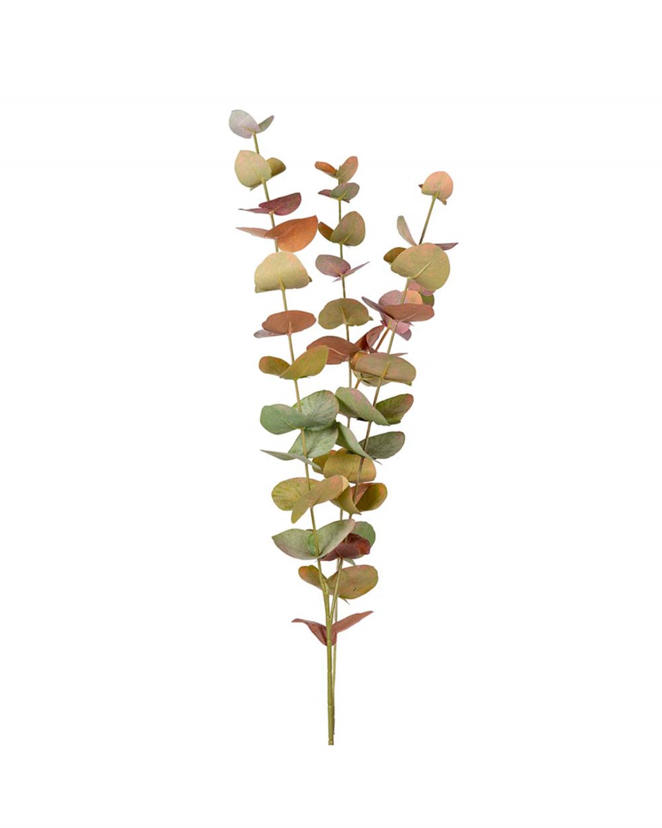 Eucalyptus snittblomma grön/orange 60 cm, grön/orange från Newport