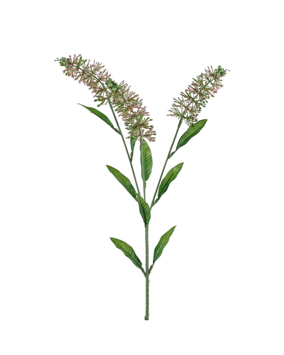 Astilbe snittblomma vit 85 cm, vit från Newport