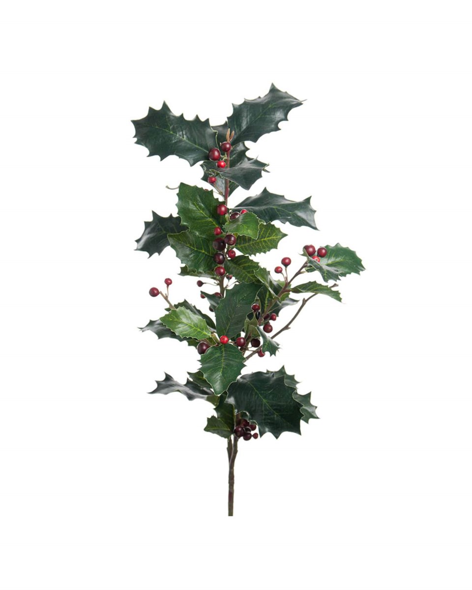 Järnek snittblomma grön/röd 85 cm, grön/röd från Newport
