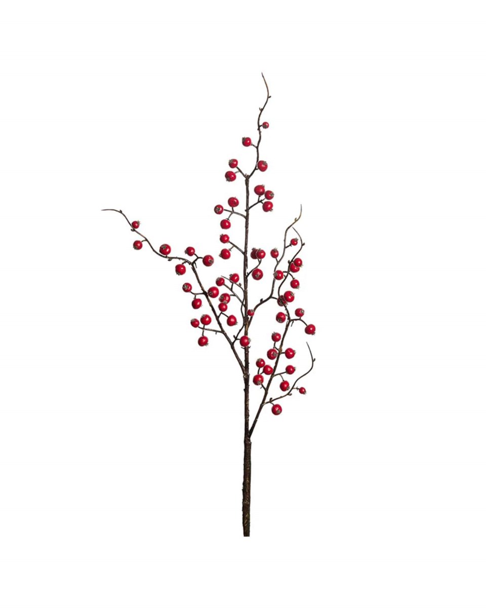 Elsa bärkvist röd 75 cm, röd från Newport