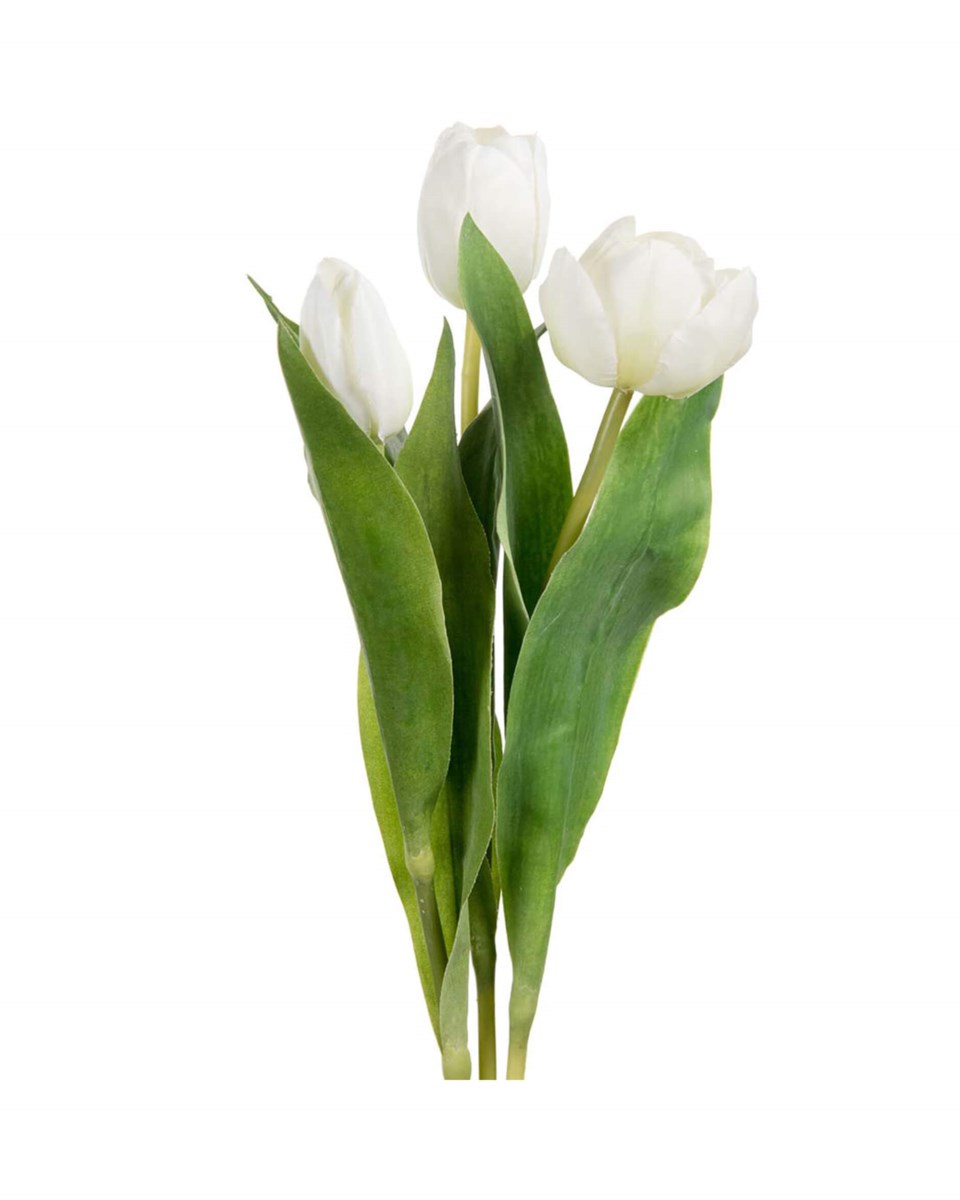 Tulpan snittblomma grön/vit 36 cm, grön/vit från Newport
