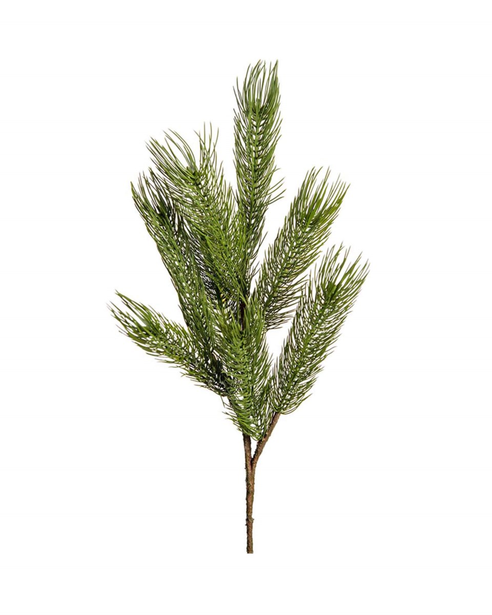 Forrest tallkvist grön 75 cm, grön från Newport