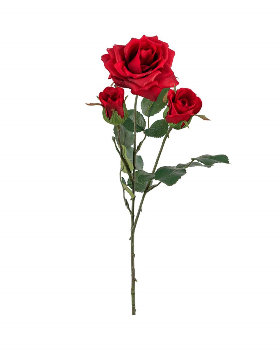 Ros snittblomma röd 55 cm, röd från Newport