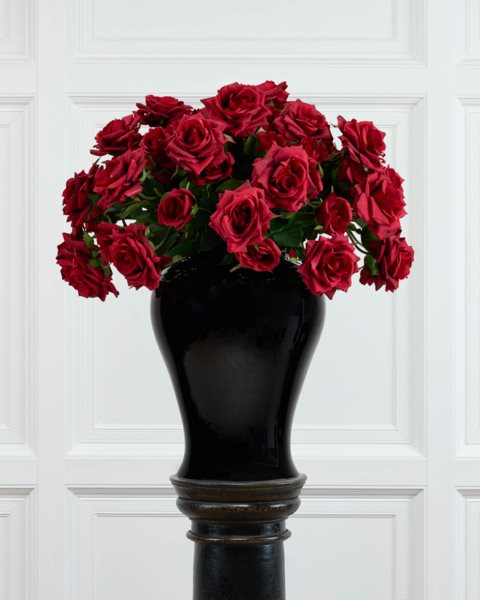 placeholder-image