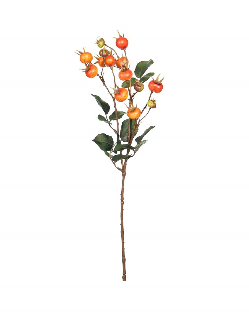 Nypon snittblomma grön/orange 60 cm, grön/orange från Newport
