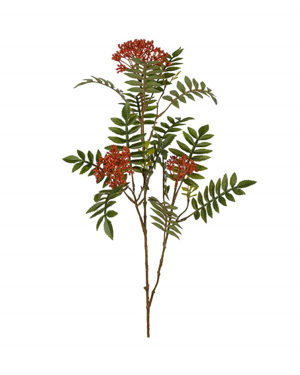 Rönn snittblomma grön/röd 80 cm, grön/röd från Newport