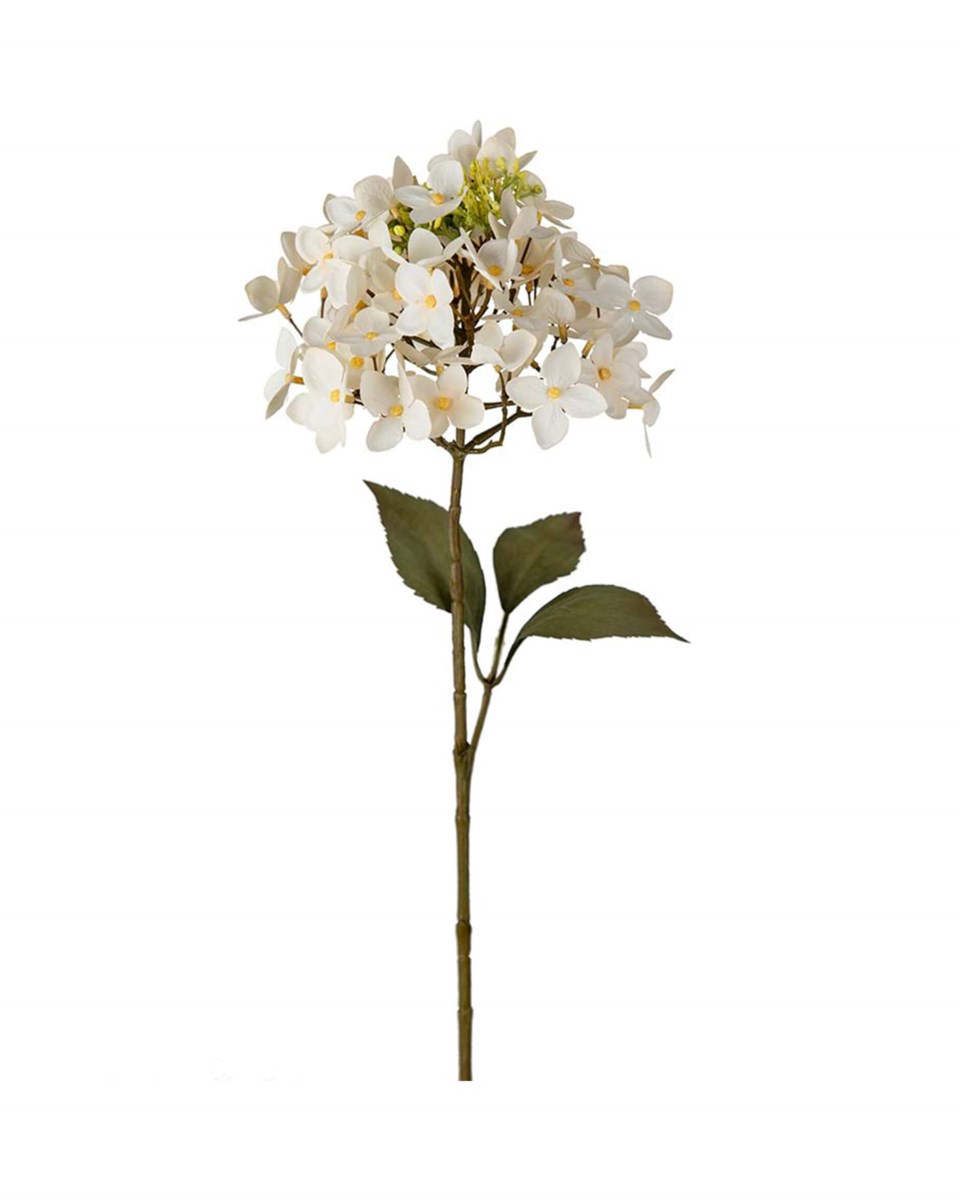 Hortensia snittblomma gul/cream/vit 65 cm, gul/cream/vit från Newport