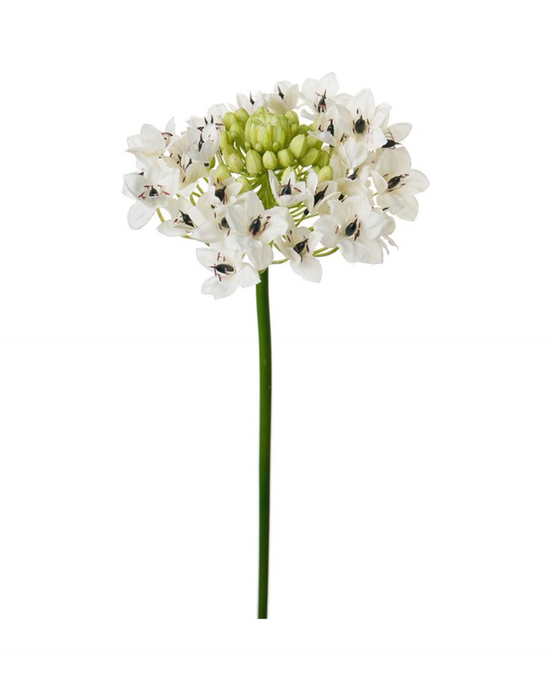 Julstjärna konstväxt grön/vit 60 cm