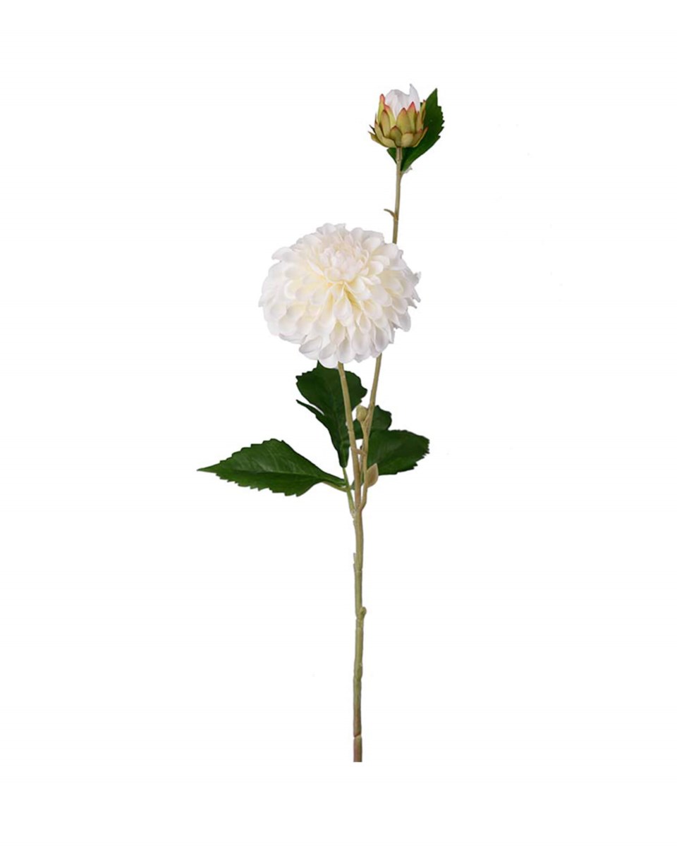 Dahlia snittblomma cream 66 cm, cream från Newport