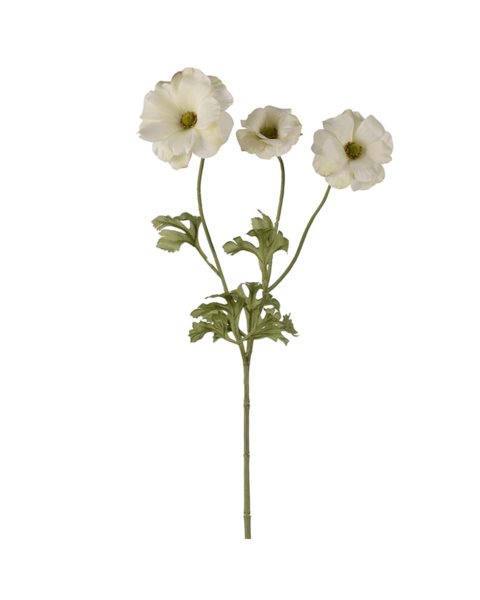 placeholder-image