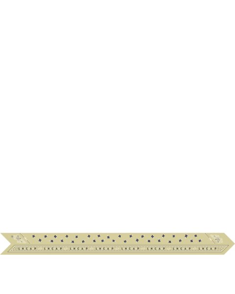 placeholder-image