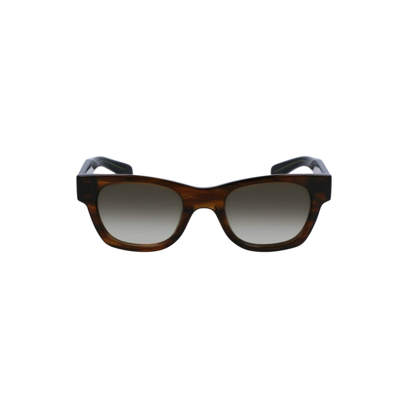 Solglasögon highgate striped brown 1