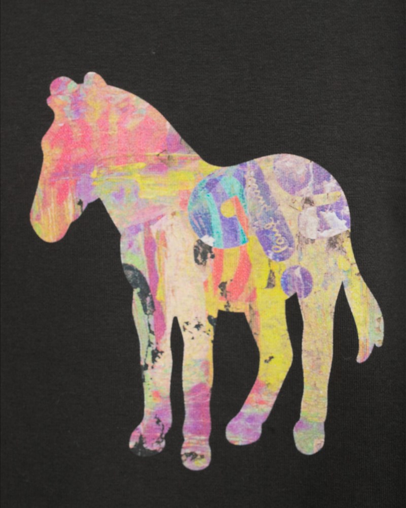 Sweatshirt zebra craft 5