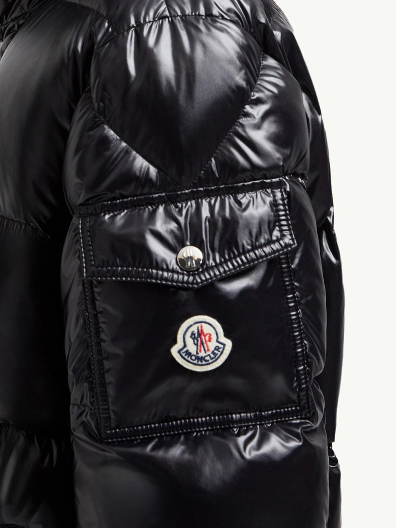 Dunparka hanoverian black 2