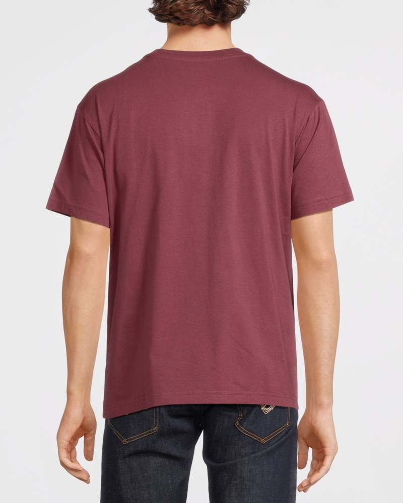 REPLAY T-shirt cotton jersey herr – bild 3