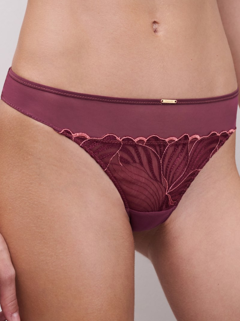 Trosa legend tanga 4