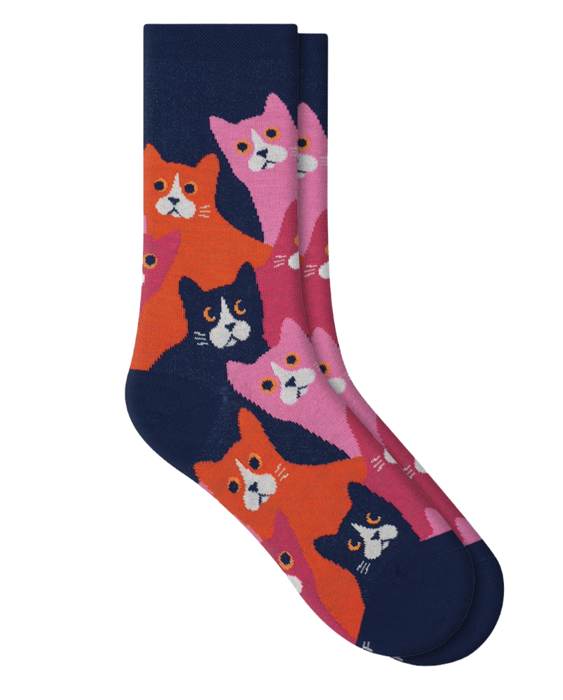 Strumpa cat