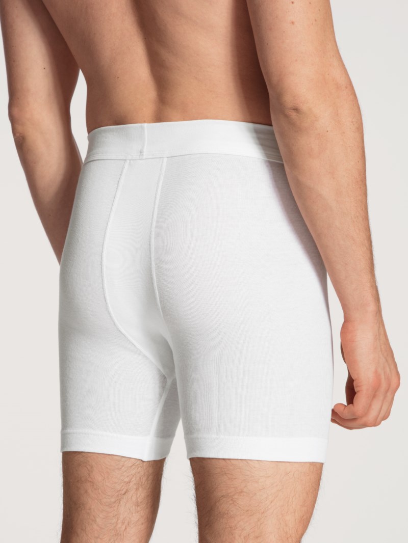 Boxer new vit 3