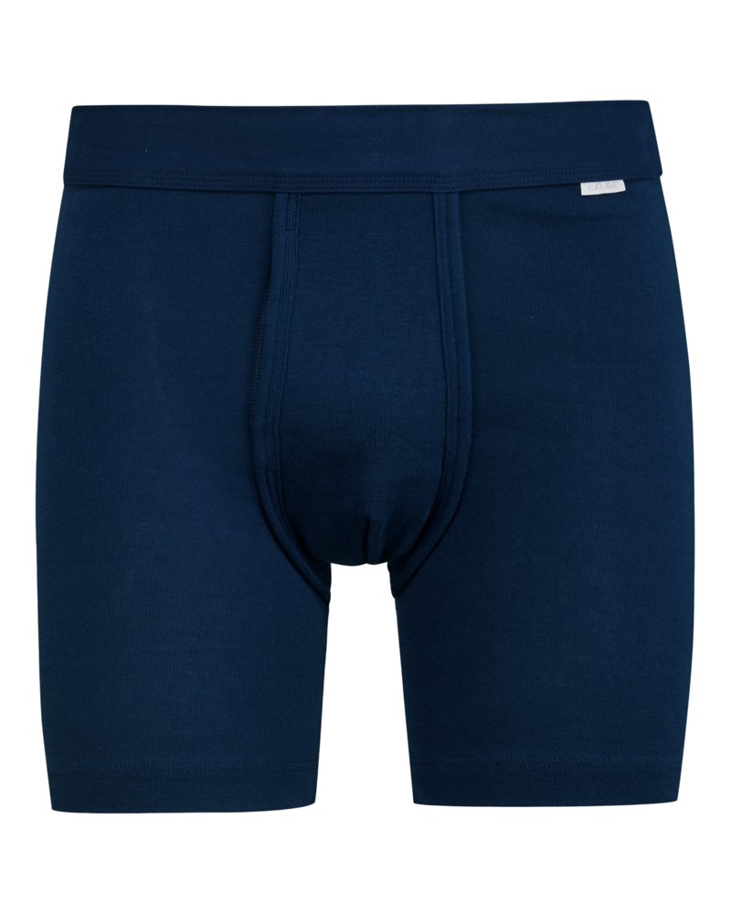 Boxer new vit 1