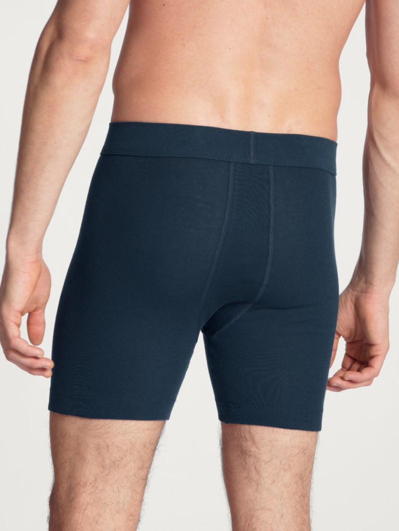 Boxer new vit 3