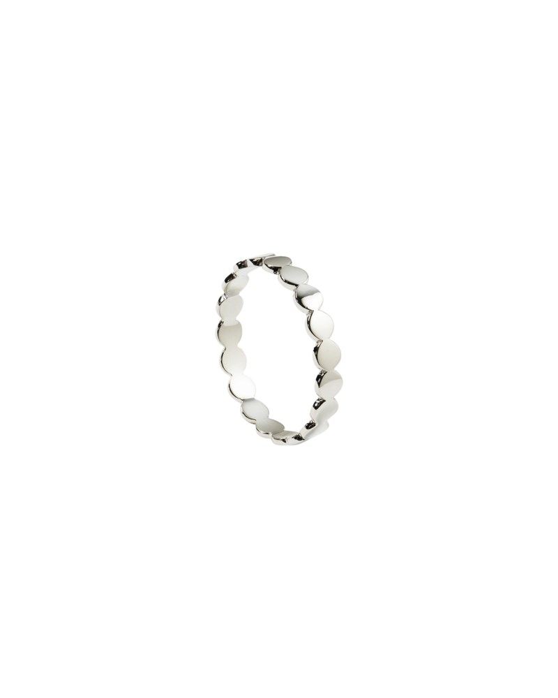 Ring beaches flat dots 1