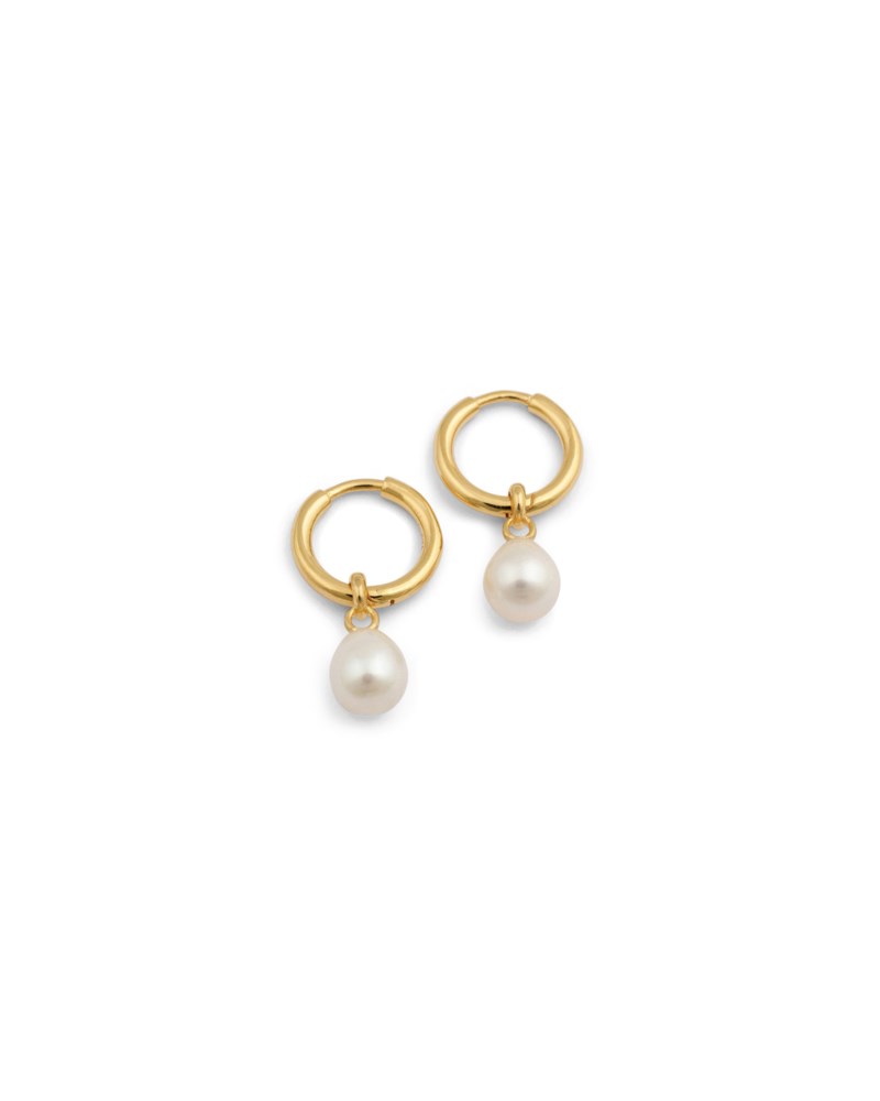 Örhänge treasure pearl hoops